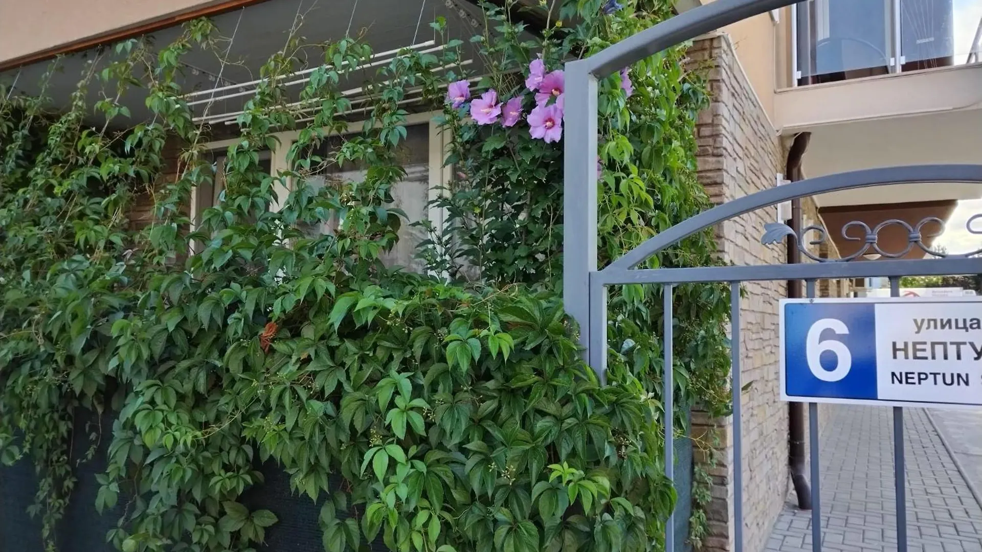 Comfortable Ground Floor Studio Apartment Primorsko